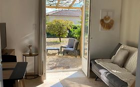 Studio dans les pins